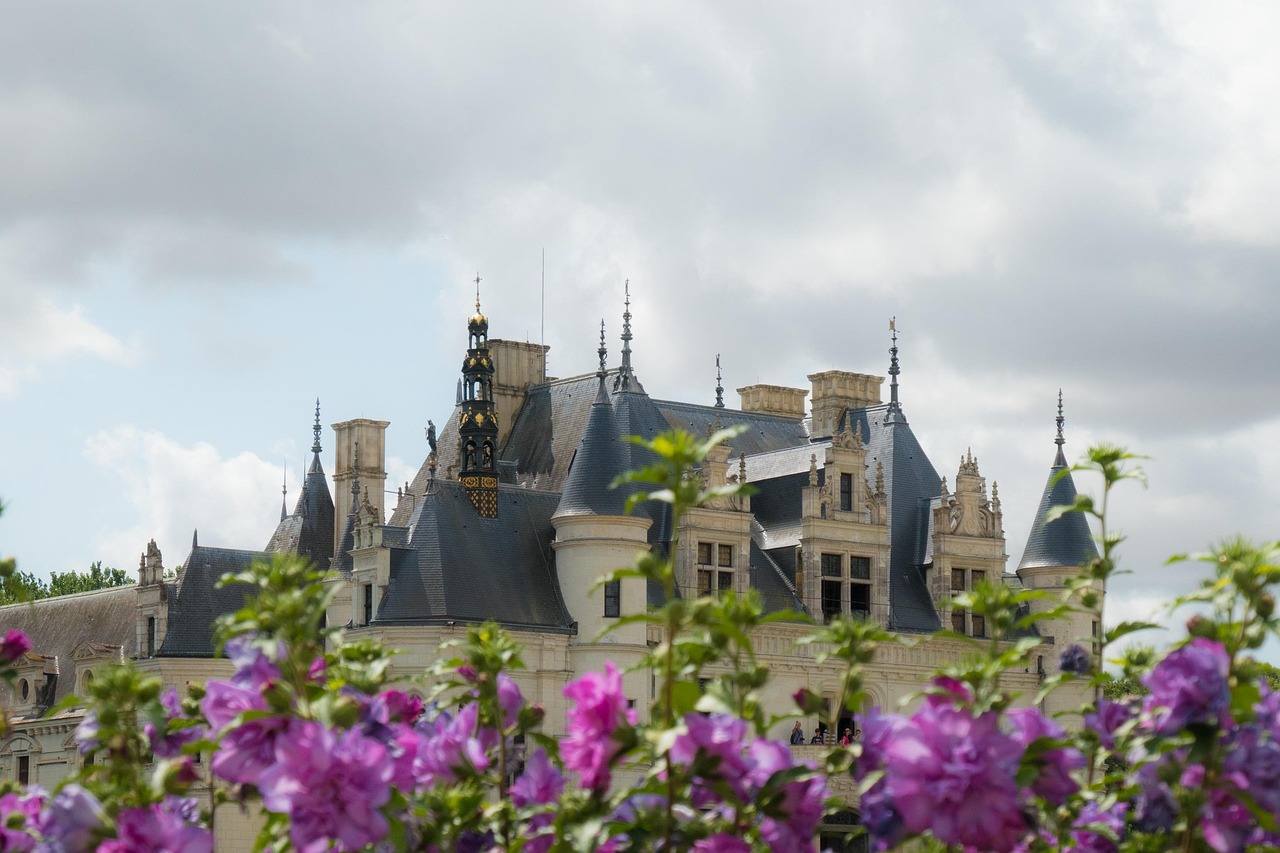 View of Chenonceau Castle through purple flowers